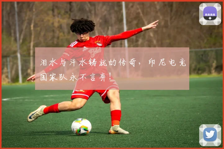 泪水与汗水铸就的传奇，印尼电竞国家队永不言弃！