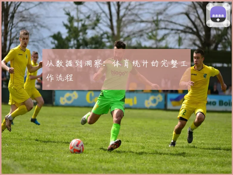 从数据到洞察：体育统计的完整工作流程