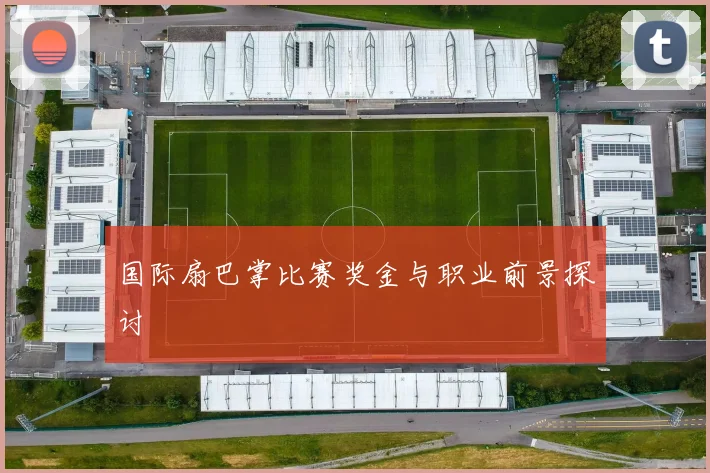 国际扇巴掌比赛奖金与职业前景探讨