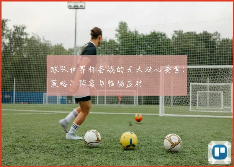 球队世界杯备战的五大核心要素：策略、阵容与临场应对