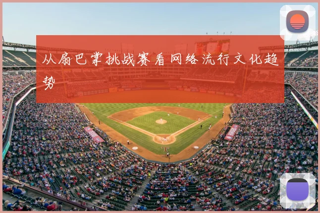 从扇巴掌挑战赛看网络流行文化趋势
