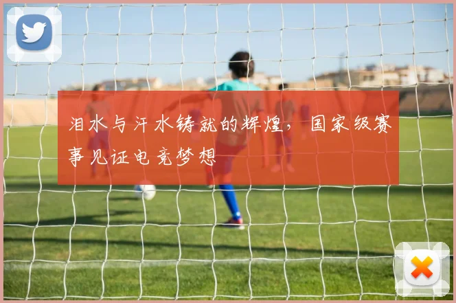 泪水与汗水铸就的辉煌，国家级赛事见证电竞梦想