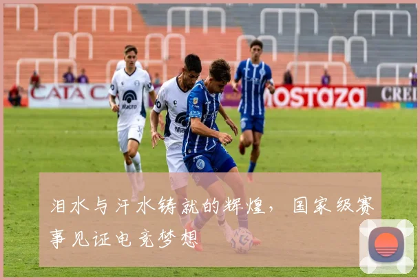 泪水与汗水铸就的辉煌，国家级赛事见证电竞梦想