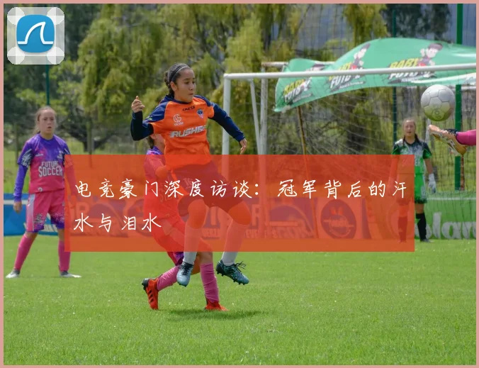 电竞豪门深度访谈：冠军背后的汗水与泪水